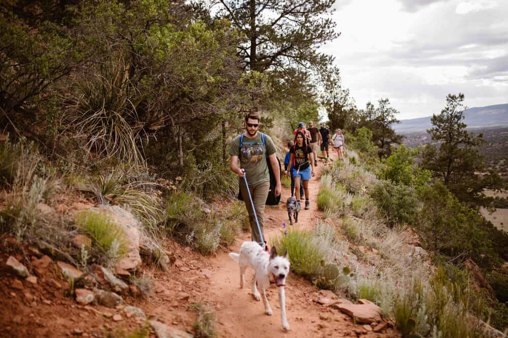 A couple hikes with their family and dogs.