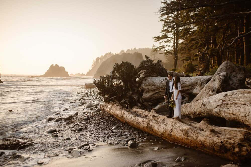 a couple on driftwood, overlooking the ocean during their Oregon coast elopement.