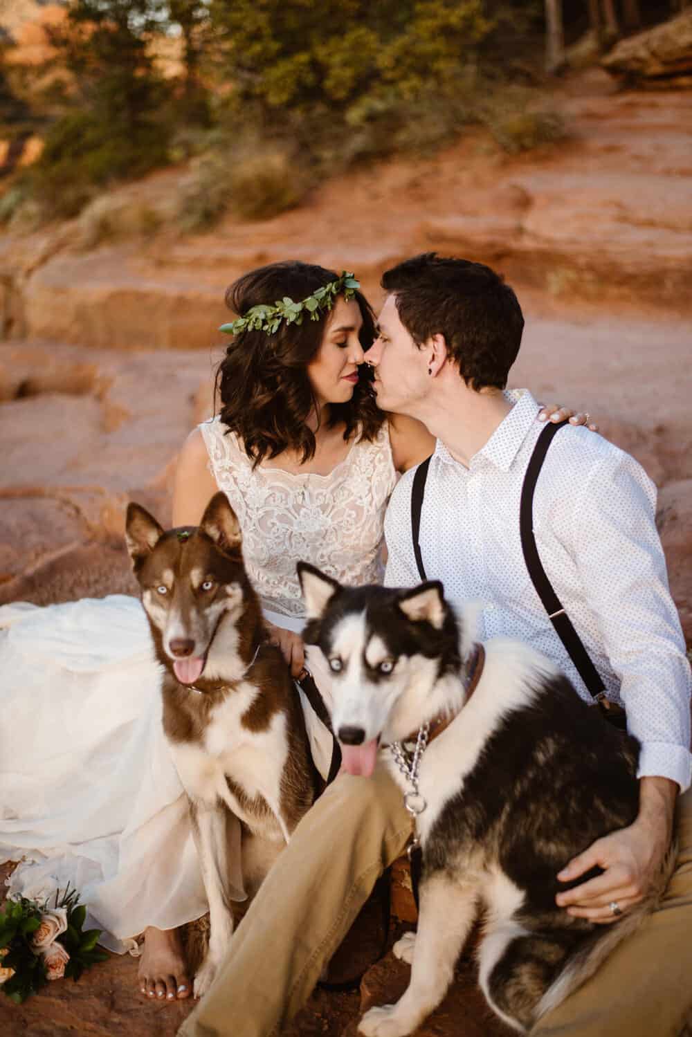 A couple on their wedding day with their two dogs.