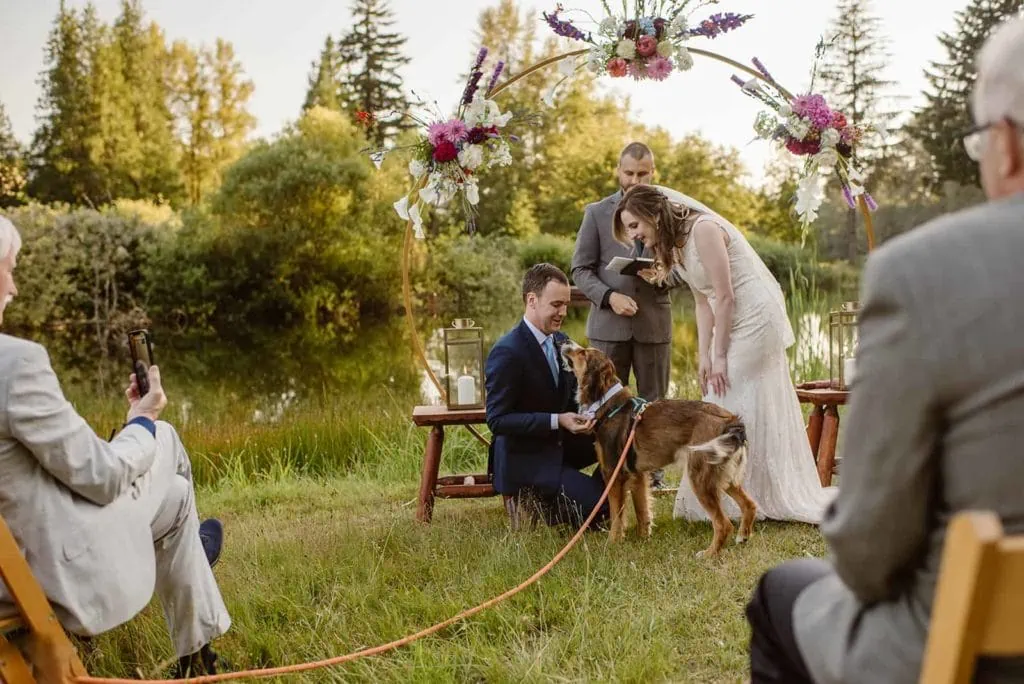 A dog brings the wedding rings up to the bride and groom.