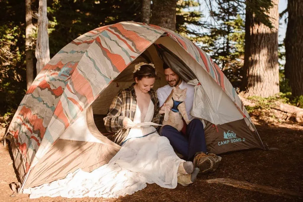 A bride and groom sit in their tent with their cat signing their marriage license.