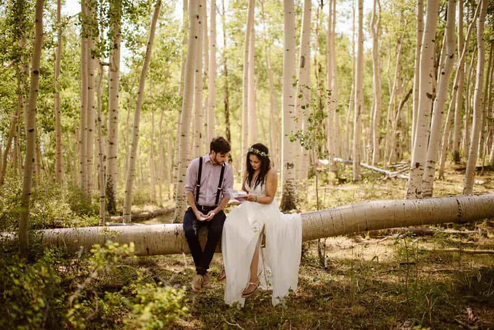 A bride and Groom sit on a tree together in the La Sal mountains reading letters from their loved ones. 