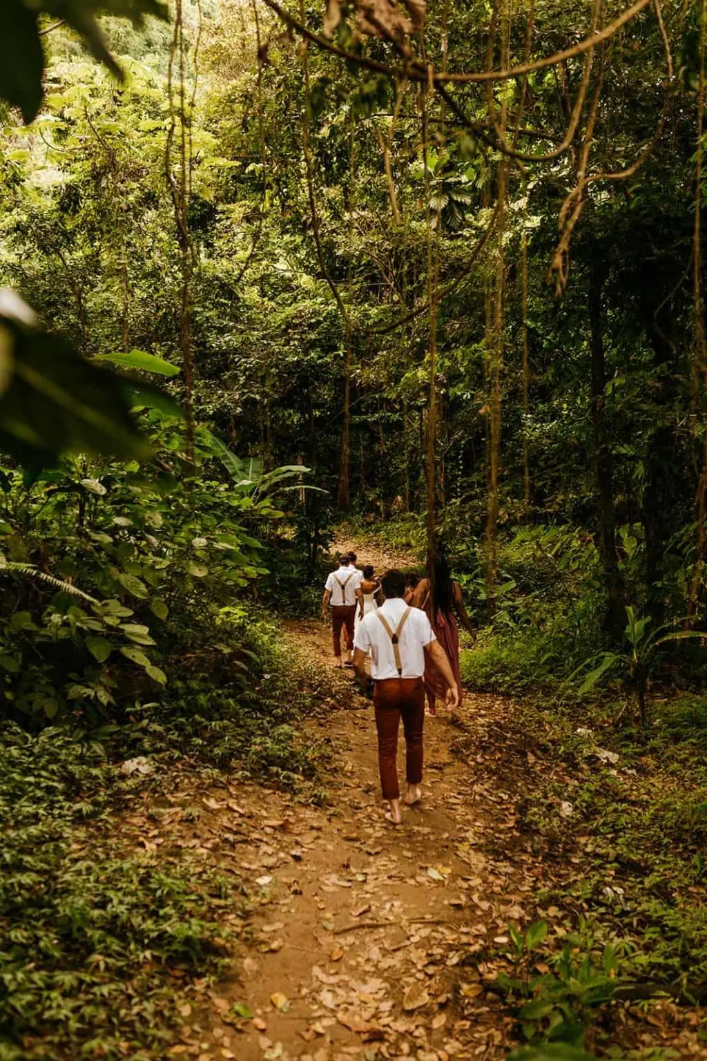 A groom and his groomsmen walk down a path together in the rainforest.