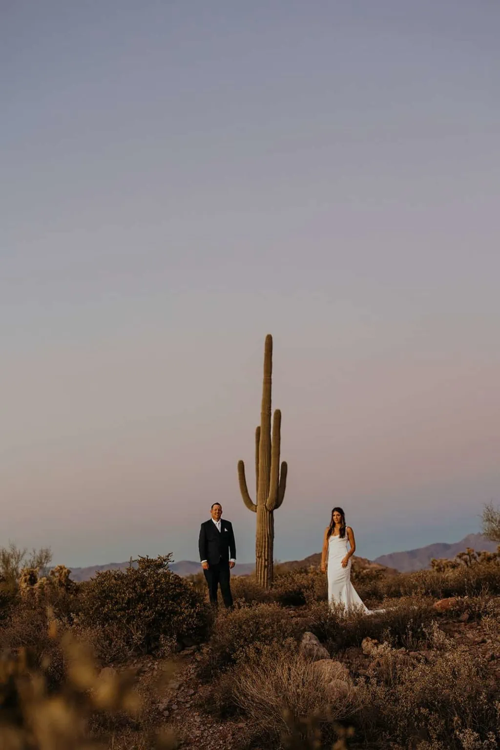 A couple stands together by a large cacti in the blue hour of the day.
