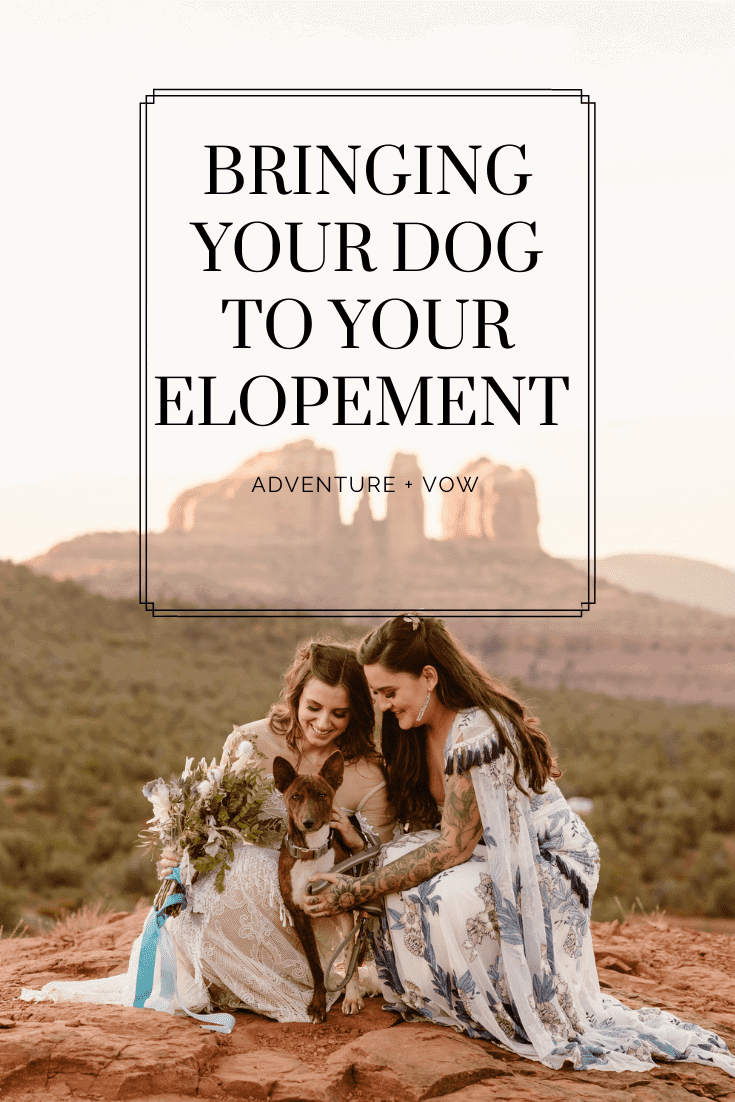 Bringing your dog to your elopement.