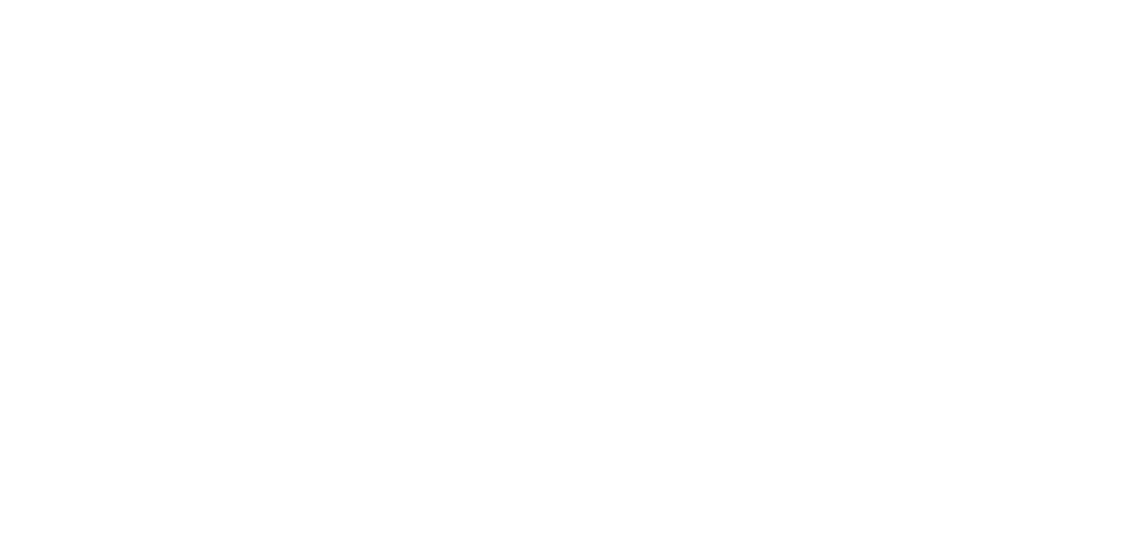adventure and vow logo in white
