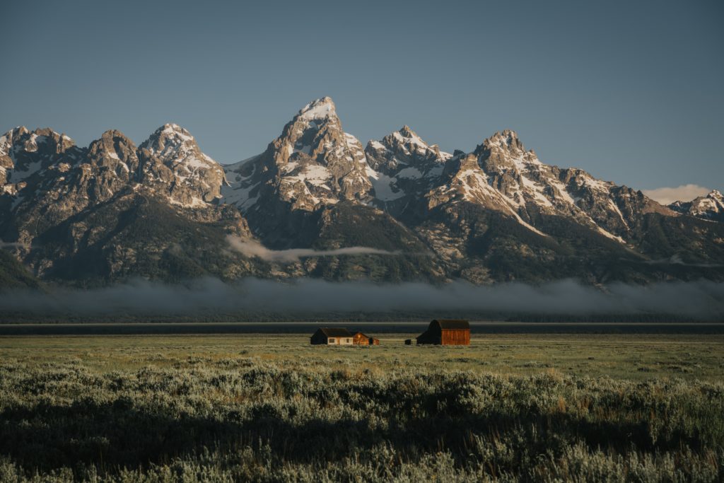 The mountain peaks of the Grand Tetons with a pasture in the foreground.