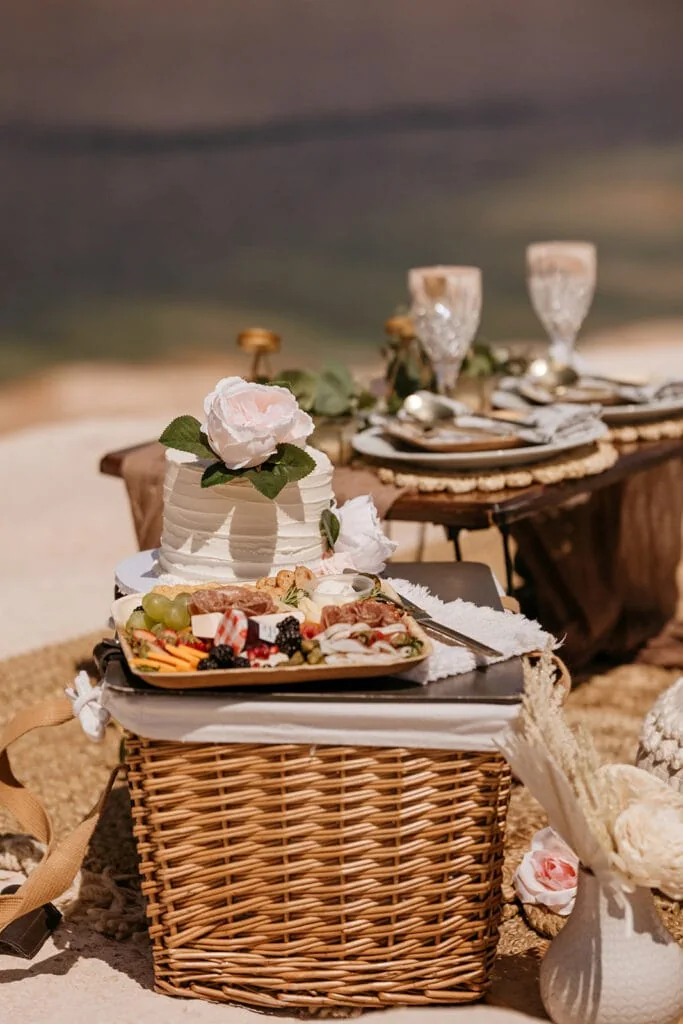 A view of the couple's picnic and cake.