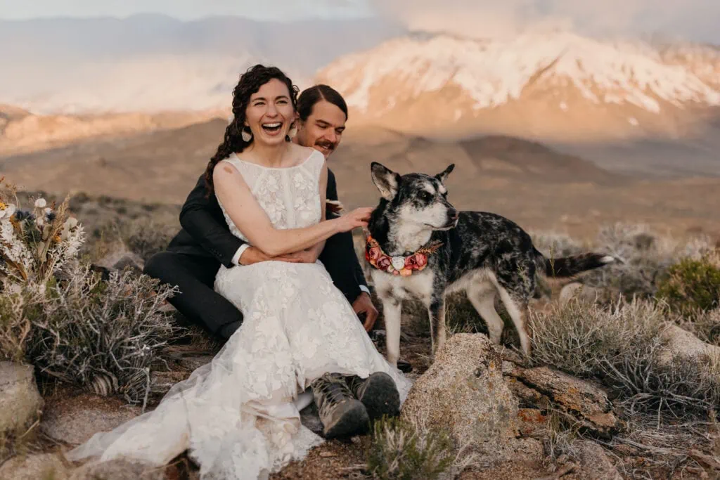 The bride laughs as the couple interacts with their dog.