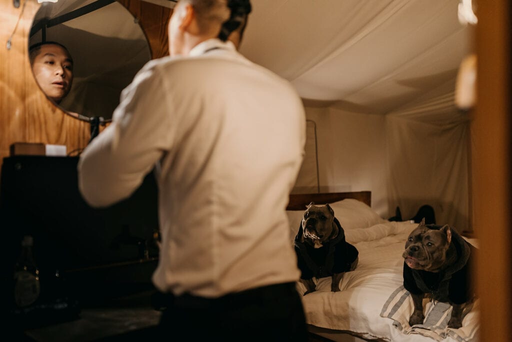 The groom gets ready in the mirror as the pups watch along.