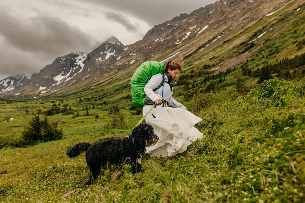 The bride and her dog walk along the hillside as wind catches her dress.