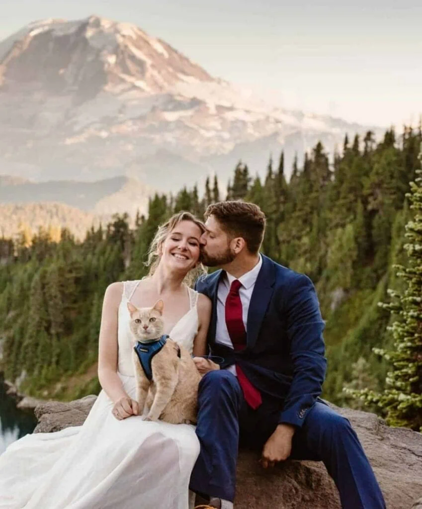 a bride and groom sit together with their cat and mount rainier in the background.