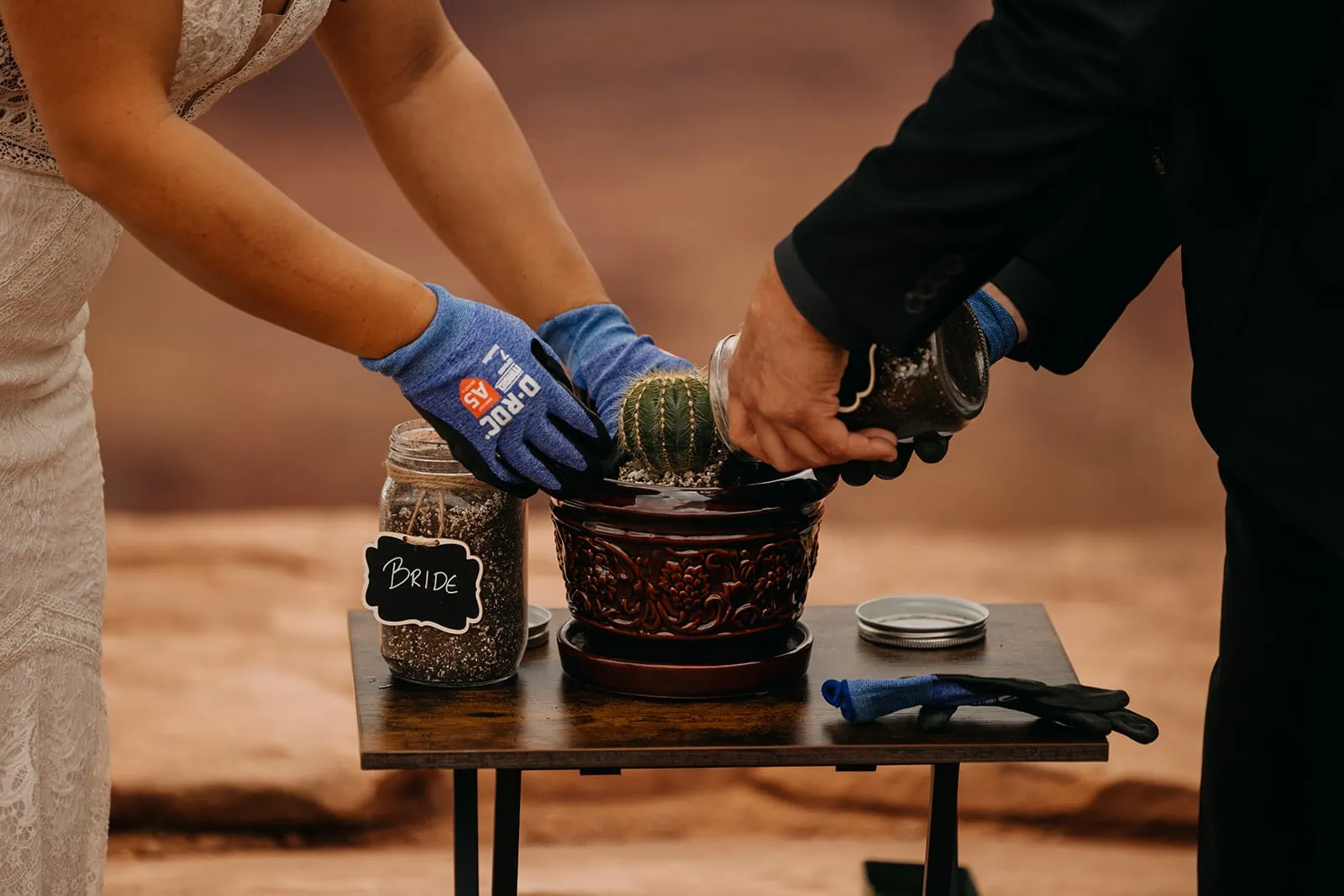 A couple plants a cacti during their ceremony.