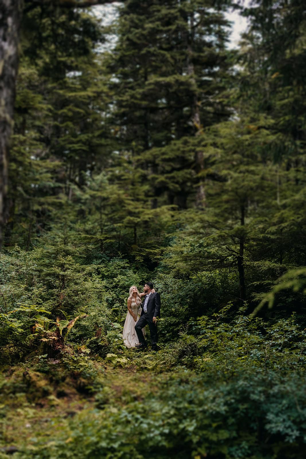 A couple is immersed in the lush forest of Juneau Alaska on their wedding day. 