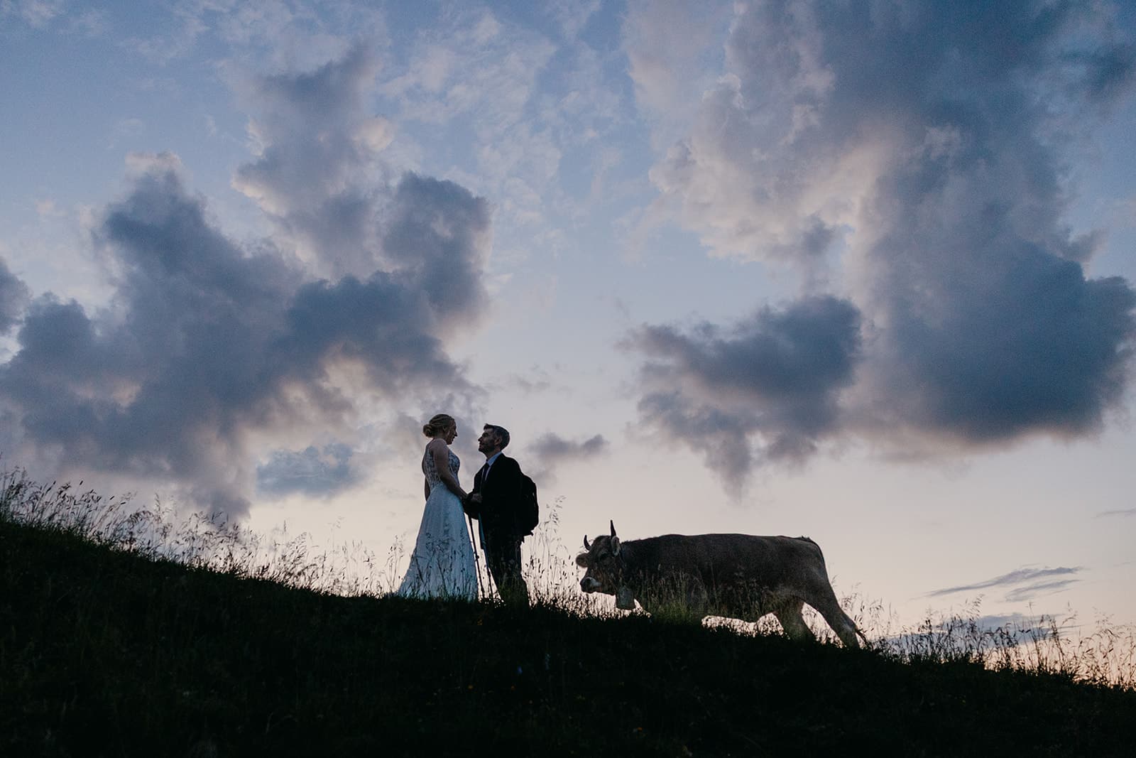 A cow looks at a couple on a ridge.