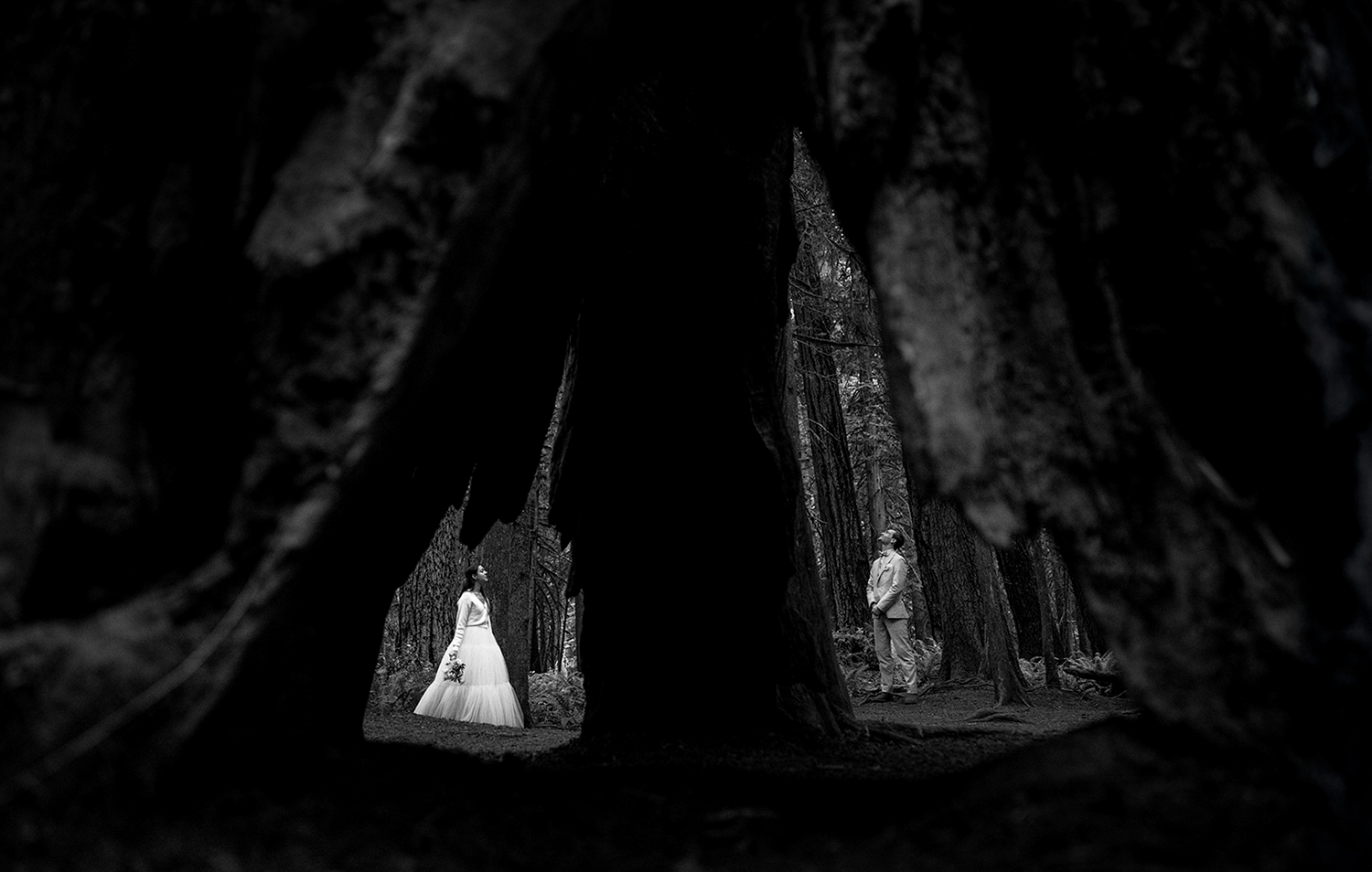A black and white image of a couple photographed from an artistic angle through a tree.